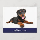 Search for rottweiler puppy postcards Miss you