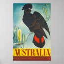 Search for black cockatoo posters Retro