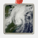 Search for east coast christmas tree decorations Circulating