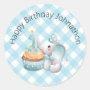 Search for baby boy first birthday stickers Gingham