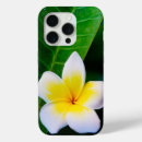 Search for plumeria flowers iphone cases Frangipani