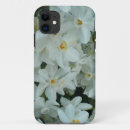 Search for spring bulbs electronics Narcissus