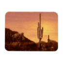 Search for sonoran magnets Cactus