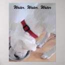 Search for well water posters Wellness