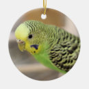 Search for parakeet christmas tree decorations Green