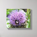 Search for artichoke photography Artichokes