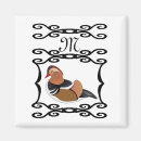 Search for duck magnets Bird