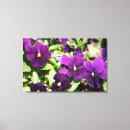 Search for pansy art Floral