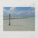 Search for mujer postcards Cancun
