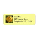 Search for yellow roses return address labels Photography