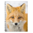 Search for fox notebooks Animal