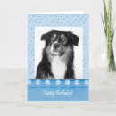 Search for australian shepherd birthday cards Puppy