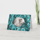 Search for white cat cards Roses