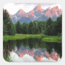 Search for beavers stickers Nature