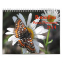 Search for butterfly calendars Insects
