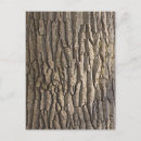 Search for barks postcards Nature