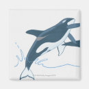 Search for killers magnets Animal