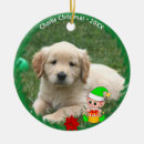 Search for puppys 1st christmas tree decorations Typography