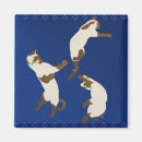 Search for playful magnets Feline