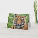 Search for tiger thank you cards Nature