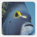 Search for island life stickers Sea