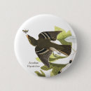 Search for john audubon badges Bird
