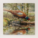 Search for pheasant puzzles Hunting