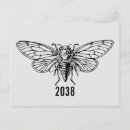 Search for insect postcards Cicadas