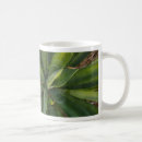 Search for vera mugs Green
