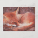 Search for red foxes postcards Animal
