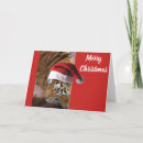 Search for bengal christmas cards Xmas