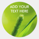 Search for spring green leaves stickers Sweet