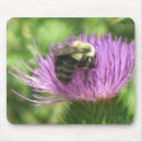 Search for pollinators mousepads Blossom