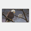 Search for bald tree mousepads Wildlife