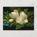 Search for giant flower postcards Martin johnson heade