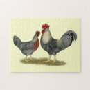 Search for chicken egg puzzles Rooster