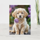 Search for golden birthday cards Cute