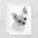 Search for realistic postcards Dog lover