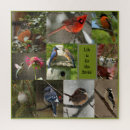 Search for bird puzzles Sparrow