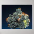Search for calcium art Geology