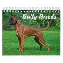 Search for boxer dog calendars Boston