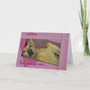 Search for sleep over cards Sleeping dog