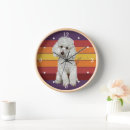 Search for poodle clocks Pet