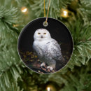 Search for snowy owl christmas tree decorations White