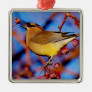 Search for ornithology christmas tree decorations Birdnerd