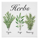 Search for culinary posters Herbs