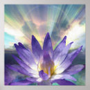 Search for purple lotus flower art Zen
