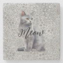 Search for kitty coasters animals