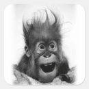 Search for monkey drawing stickers Funny
