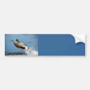 Search for mallards bumper stickers Duck